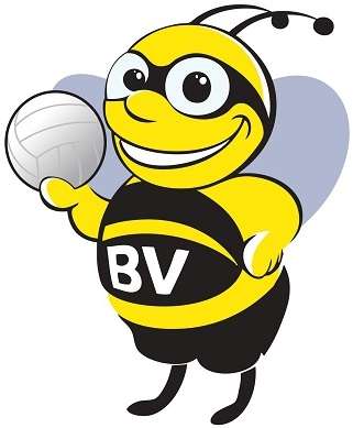 Bee Volley Lecce ASD